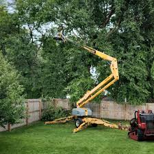 Best Weed Control  in Beaumont, CA