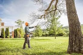 Best Lawn Disease Treatment  in Beaumont, CA